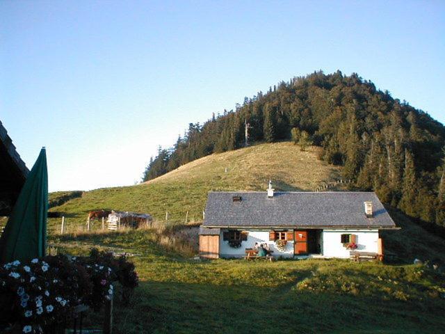 Appartements Ferienwohnungen Alpenblick Faistenau Exterior foto